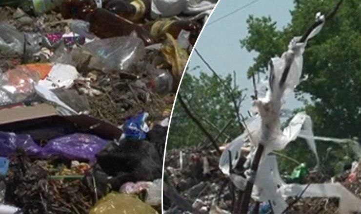 Жители села в Чимишлийском районе требуют решить проблему мусорной свалки.