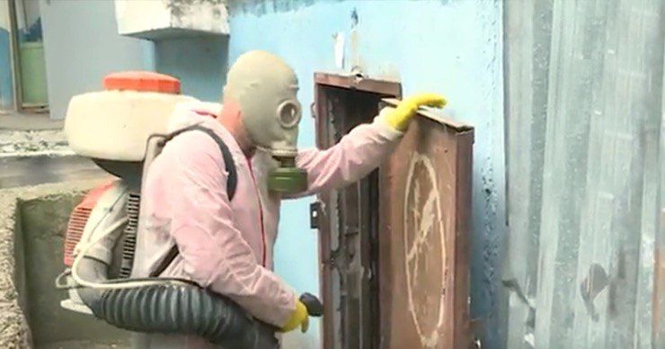 С прошлой недели обрабатывают подвалы жилых домов на Рышкановке. 