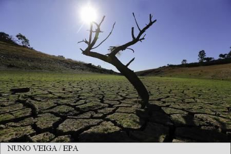 Peste 15.000 de oameni de știință lansează un semnal de alarmă cu privire la starea planetei. Foto: EPA