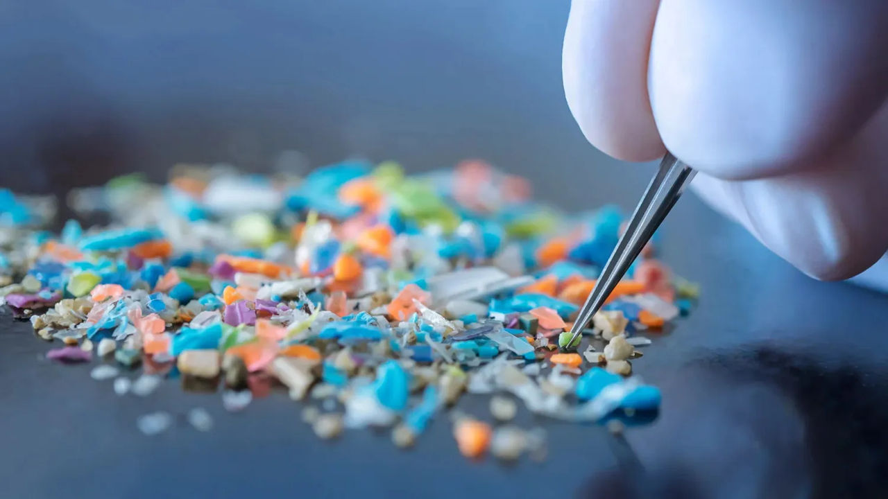 Pericolele microplasticelor, puse la îndoială de oamenii de știință.