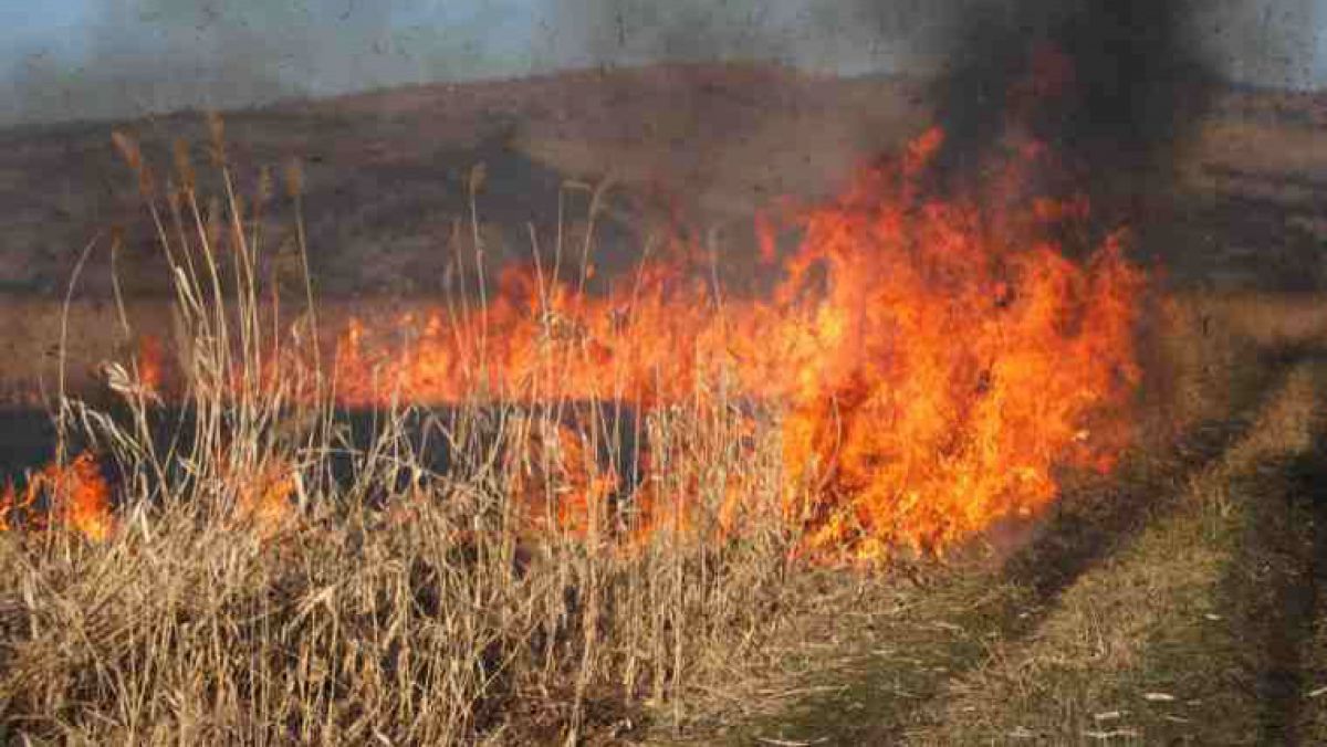 Crește posibilitatea izbucnirii incendiilor. Foto: agora.md