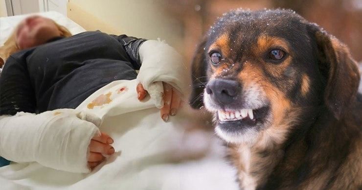 Девушка подверглась нападению и была укушена вчера, когда возвращалась домой. Фото: Point.md.