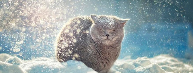 Pentru astăzi meteorologii prognozează cer variabil și pe alocuri ninsori slabe. Foto: fatelines.net