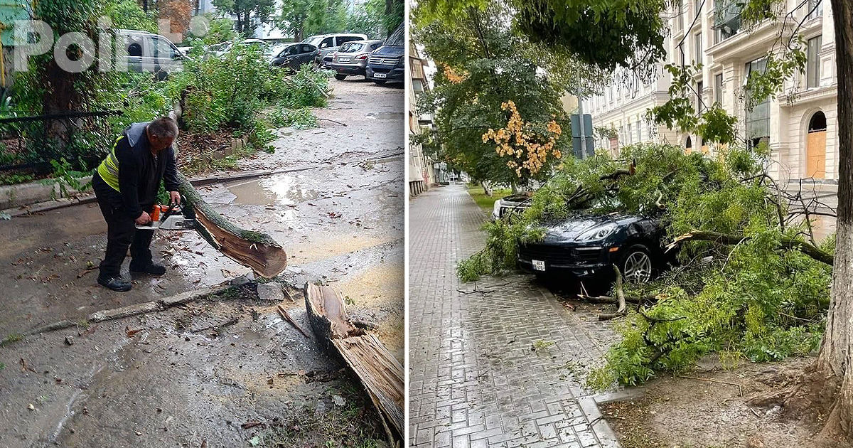 Ploi puternice în Chișinău: Crengi rupte și mai multe străzi, inundate.