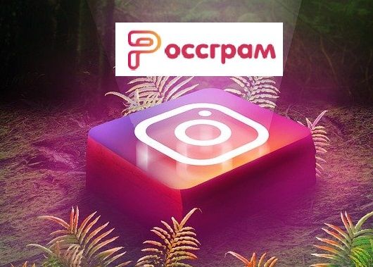 В России представили аналог Instagram под названием «Россграм».