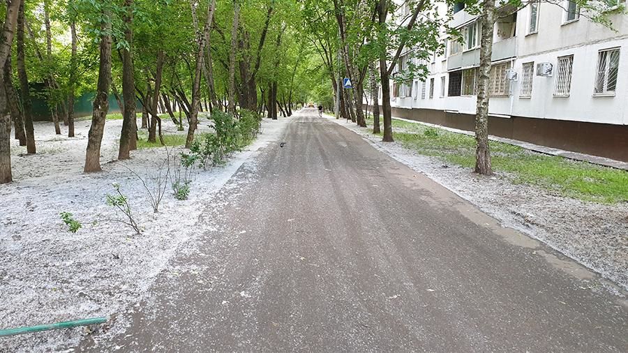 Врач дала рекомендации аллергикам в период цветения.