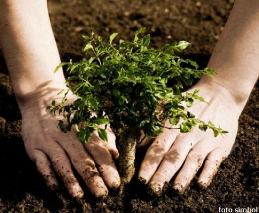 Grădina Botanica a devenit mai verde datorită unui grup de voluntari.