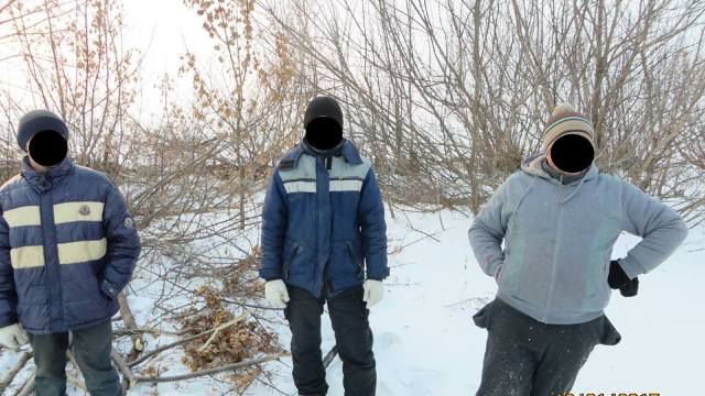 Trei persoane din Drochia au fost amendate pentru că au tăiat ilegal 12 copaci. Foto: Facebook/ IES