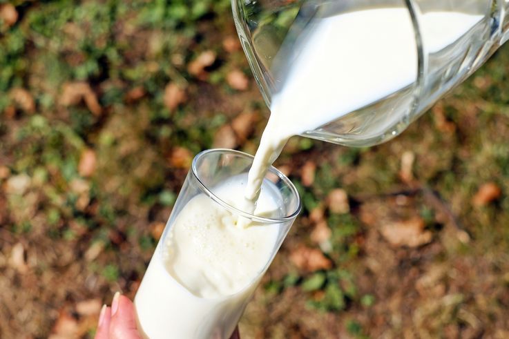 Fermier: Laptele a ajuns să coste mai ieftin decât apa