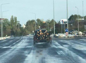 Уборка в Кишиневе деревьев, попадавших во время снегопада, превратилась в мародерство.