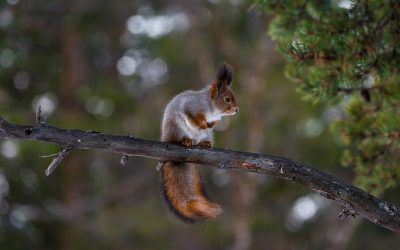 Harta meteo: Noapte cu +7 grade. Temperaturi înregistrate ziua. Foto: PxHere