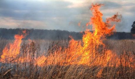 Un incendiu de vegetaţie a distrus 25 de hectare de teren în Străşeni. Foto: dse.md