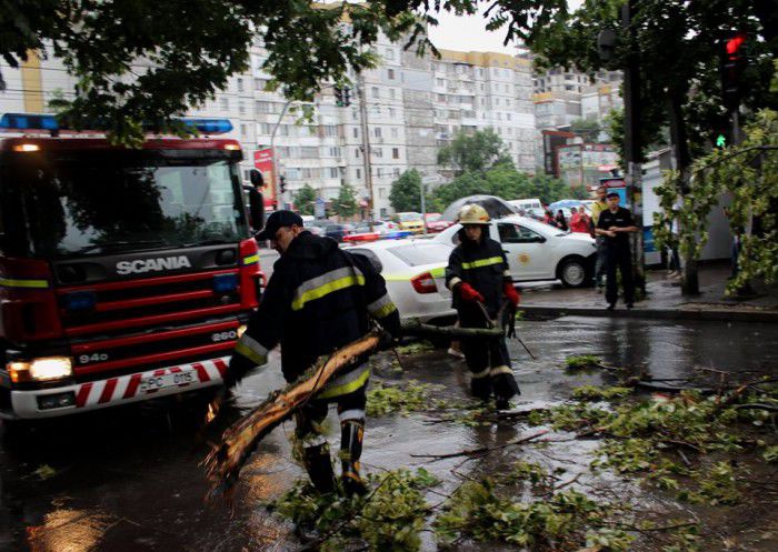 Doi tineri au fost răniți după ce un copac a căzut în sectorul Botanica. Foto: dse.md