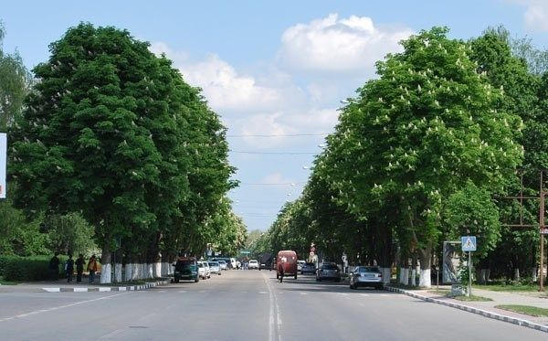 Примэрия Клуж выделит 100 тыс. евро на летний театр в городе Унгены.