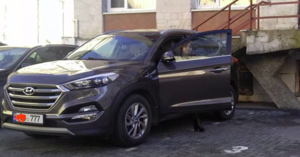 Прокурор заявила в декларации, что ее автомобиль Hyundai Tucson стоит 1000 леев.
