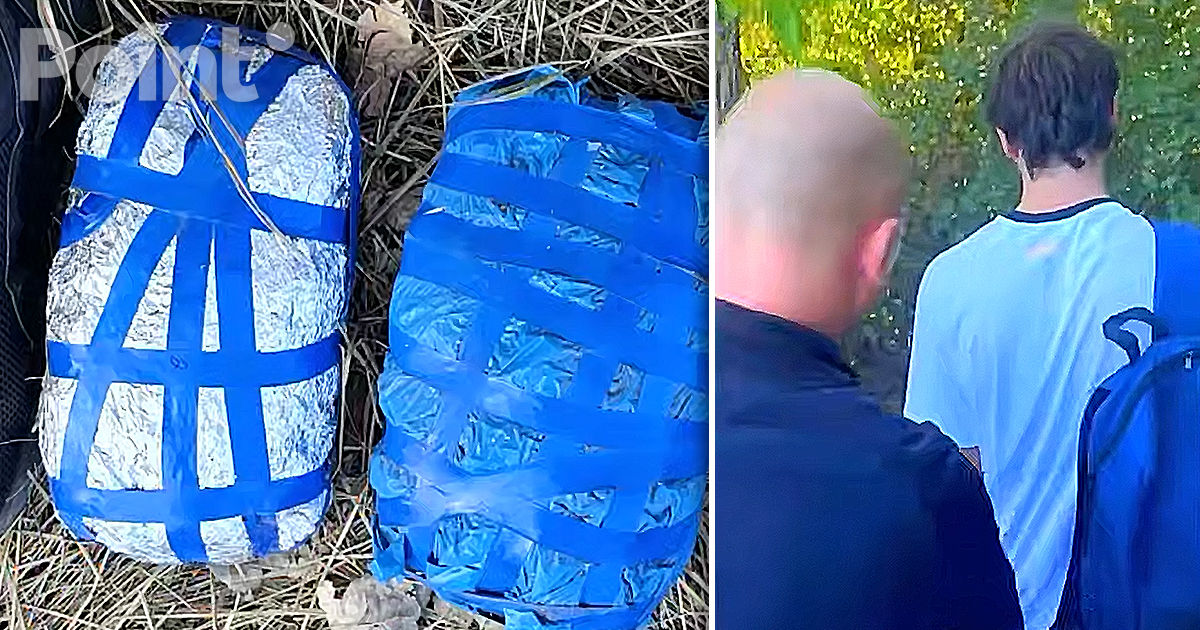 Droguri de 2,5 milioane de lei, confiscate de Poliție. Un adolescent a fost reținut.