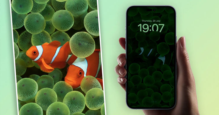У смартфона iPhone 14 Pro будет постоянно включен экран. Коллаж: Point.md