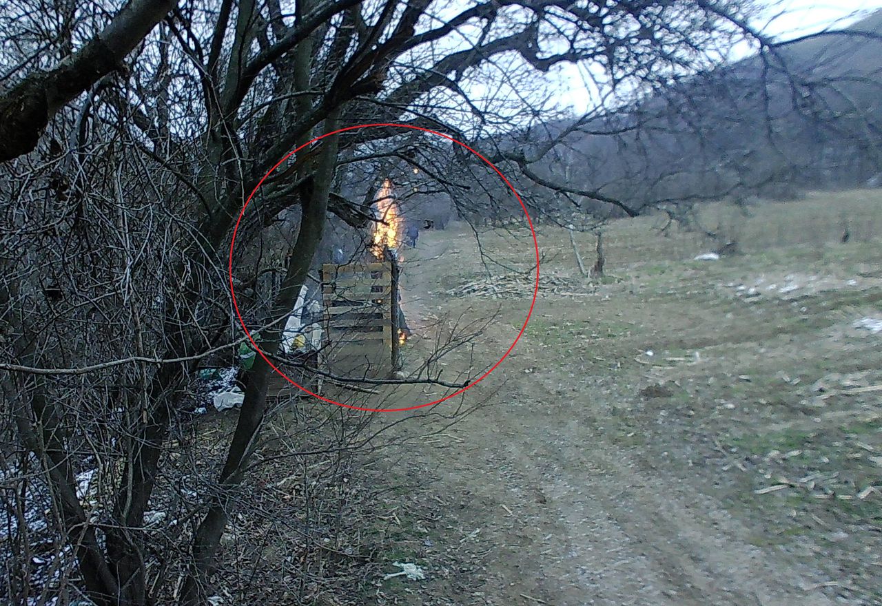 Bărbat surprins de camere de supraveghere în timp ce dă foc unui adăpost de câini.