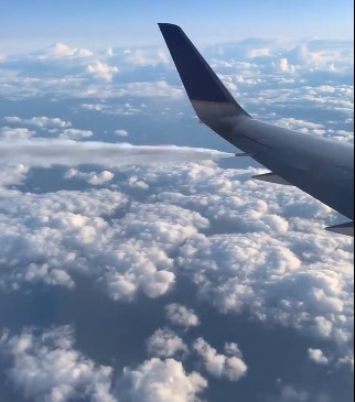 Вытекающее топливо встревожило пассажиров рейса United Airlines.