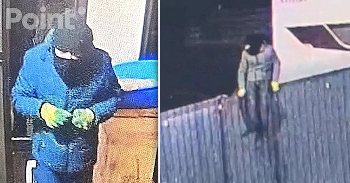 Un moldovean care jefuia cartierele milionarilor, reținut la București.