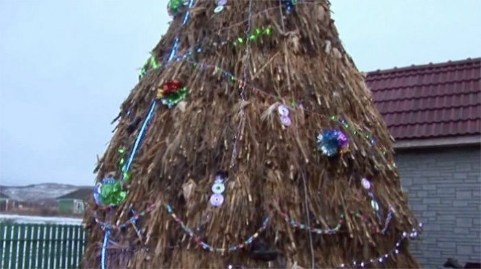 Record după record. Cel mai trăsnit brad, inaugurat la Sângerei