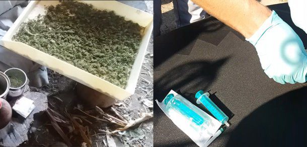 Captură impresionantă de narcomani şi narcotice la Drochia. Foto: igp.gov.md