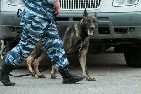 400 человек эвакуированы из налогового института в Москве после угрозы взрыва.