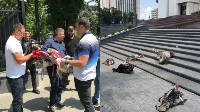 Сторонникам ДПМ, бросившим индеек у здания президентуры, грозит тюрьма. 