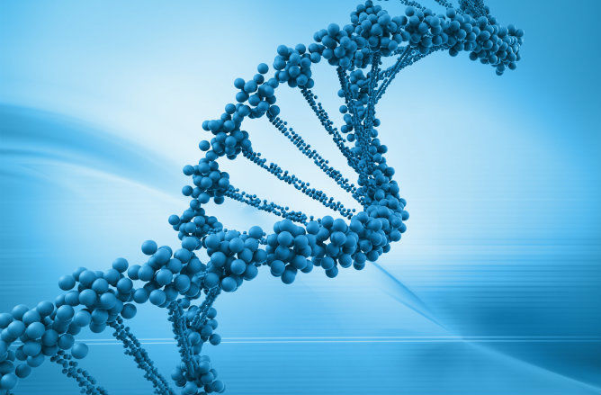 Moldova ar putea avea un laborator de identificare a ADN-ului. 