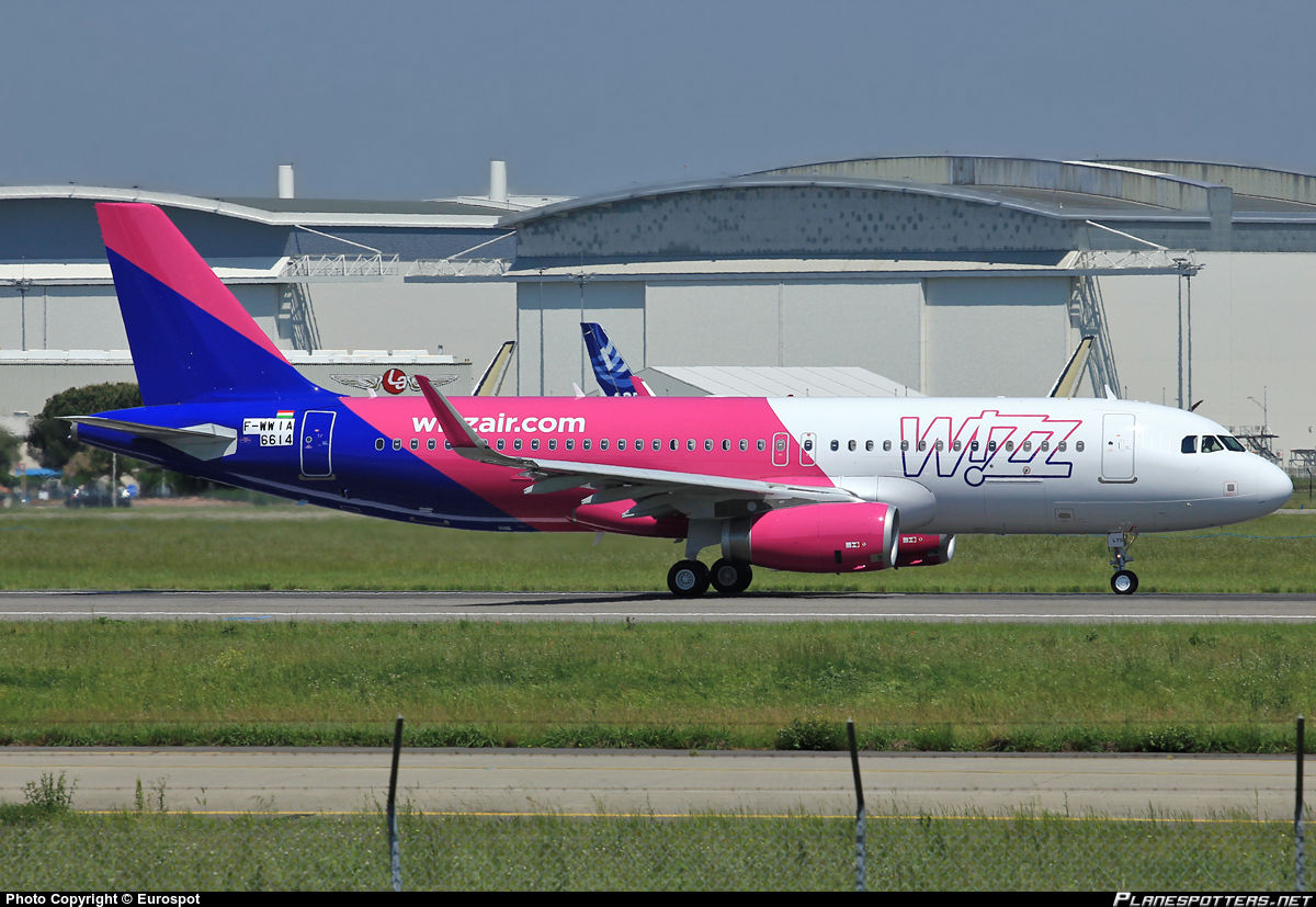 Wizz Air готова вернуться в Украину.