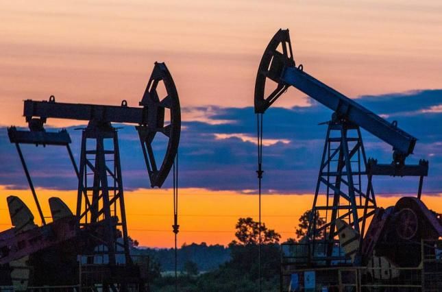 Аналитик назвала причины резкого падения цен на нефть WTI.