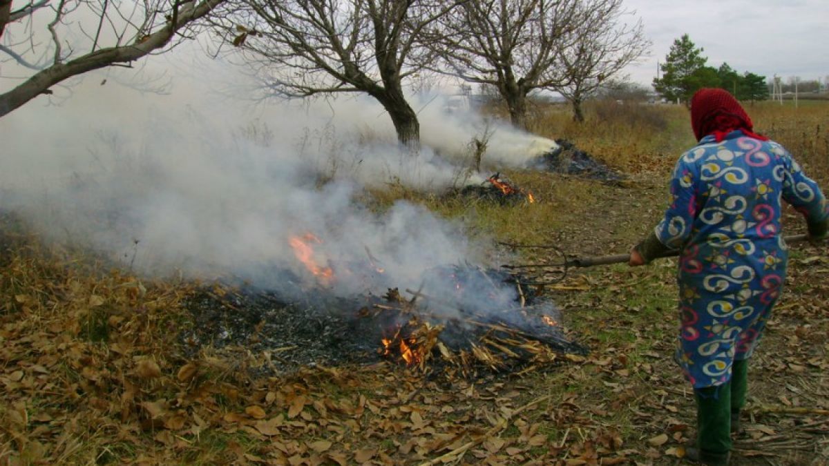 Министерство окружающей среды напоминает о штрафах за сжигание листьев и мусора.