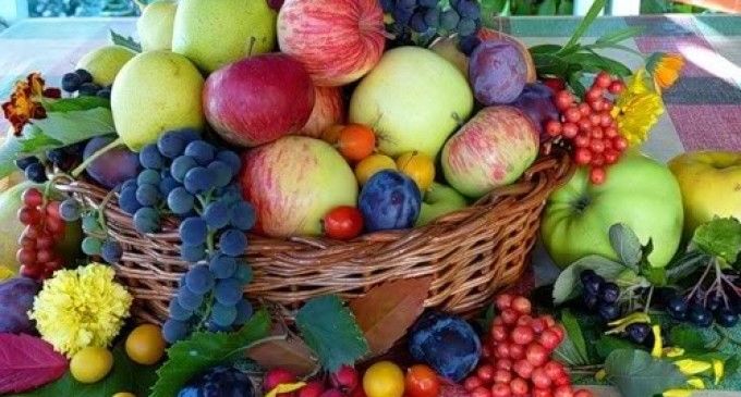 Expert: Rușii nu aveau cum să găsească molia orientală în fructe. Foto: quattronet.it