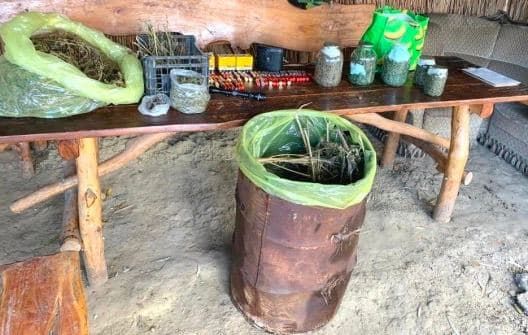 В доме у жителя Оргеевского района обнаружили марихуану на 2 млн. леев.