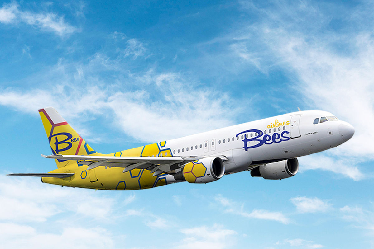 Bees Airlines renunță la toate zborurile comerciale începând cu anul 2025.