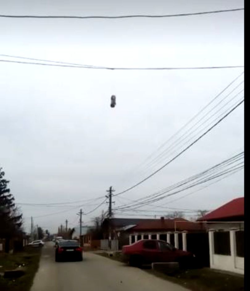 Câine atârnat de cabluri electrice de un copil. Imagini înfiorătoare