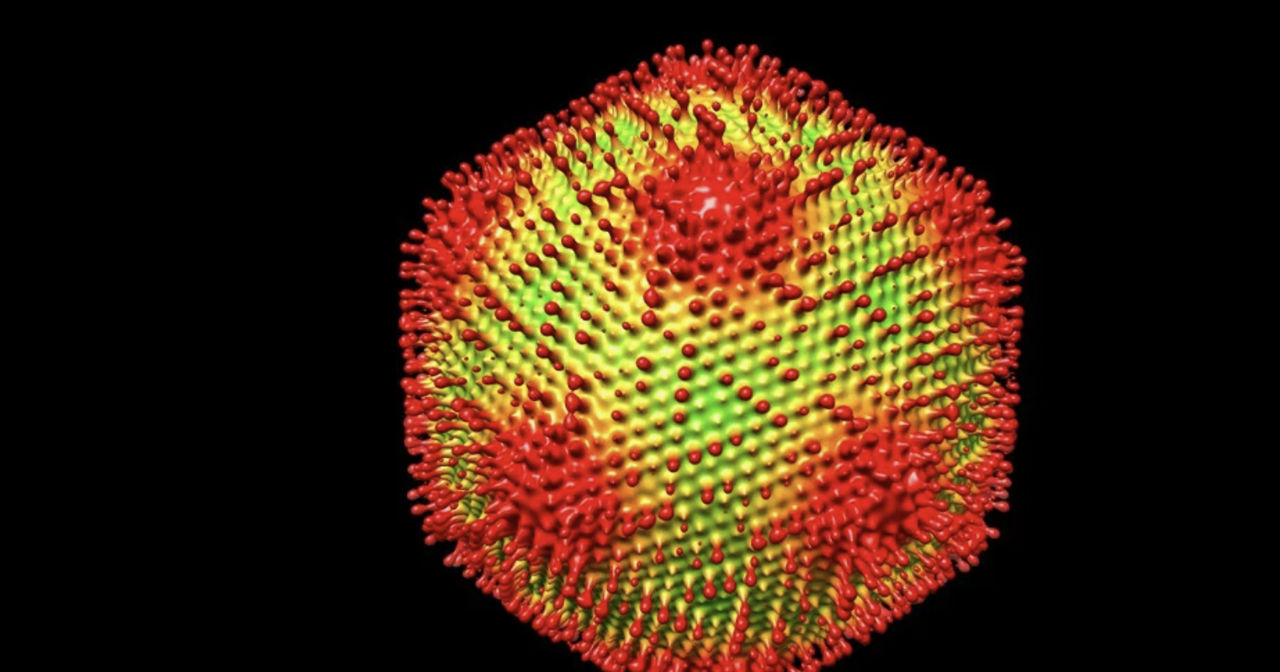Oamenii de știință japonezi au descoperit un virus gigantic necunoscut anterior.