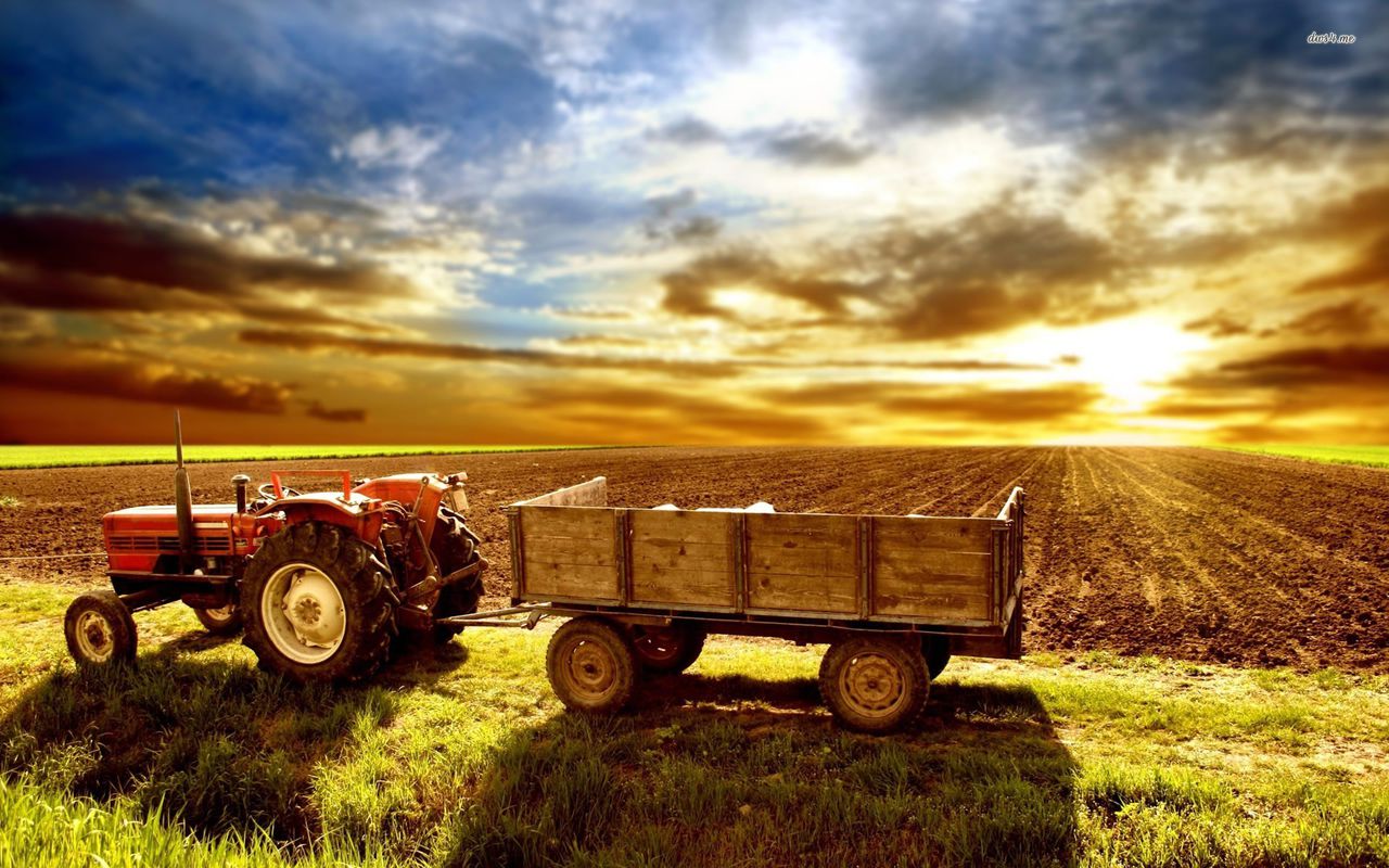 Veste bună pentru agricultorii care utilizează tehnica No-Till. Foto: 81px.com