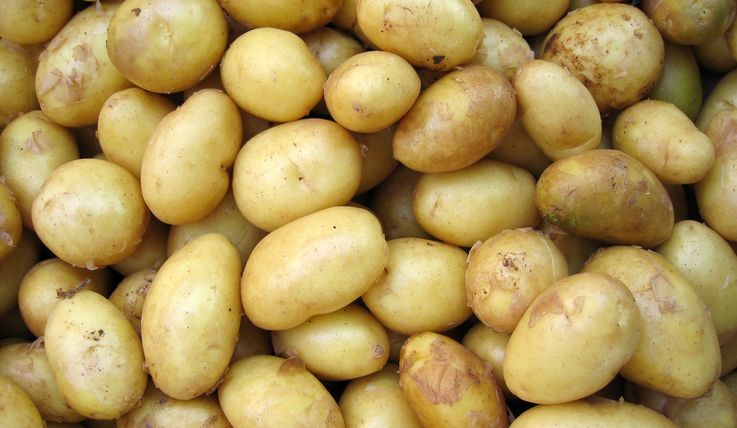 Cele mai mari prețuri pentru cartofii sunt înregistrate în Moldova