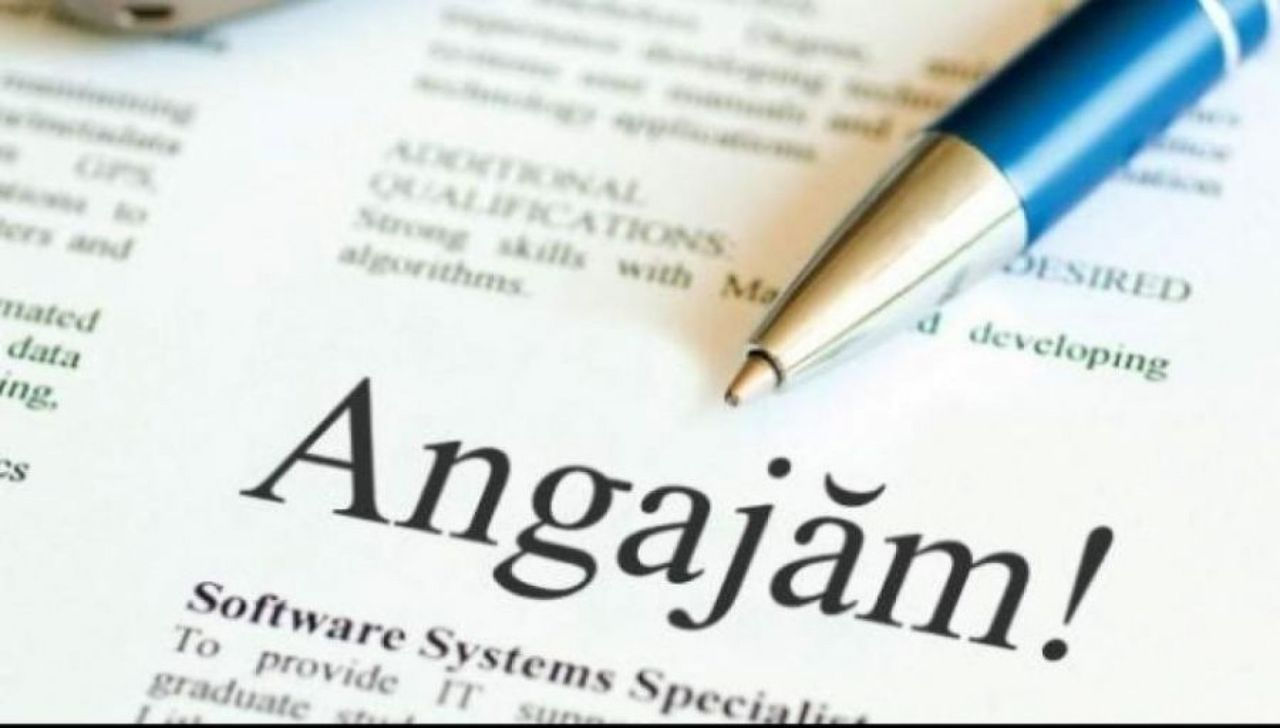 Criză de personal în sectorul public: Peste 13.000 de posturi vacante.