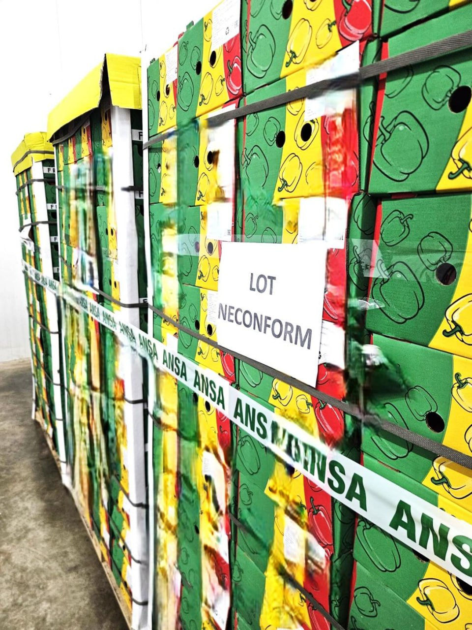 Более девяти тонн импортного перца не допустили на рынок Молдовы из-за пестицидов.