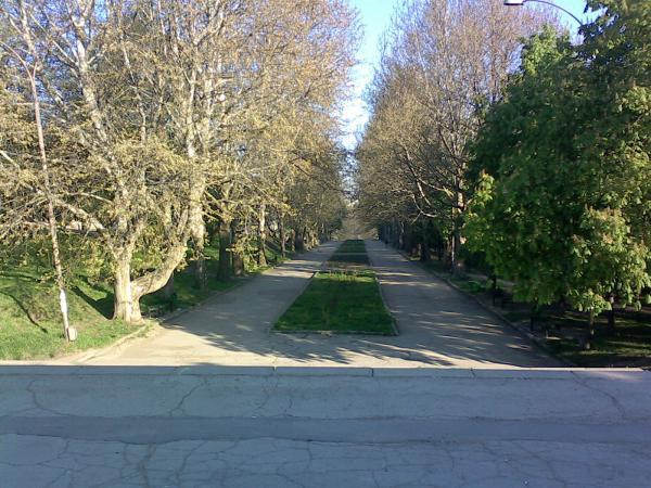 Întreprinderea municipală “Spaţii Verzi” nu dispune de personal suficient pentru a curăţa în permanenţă parcurile din capitală.