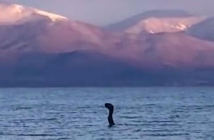Пять лет назад Несси уже замечали в греческой части водоёма, однако поиск существа не принёс никаких результатов.