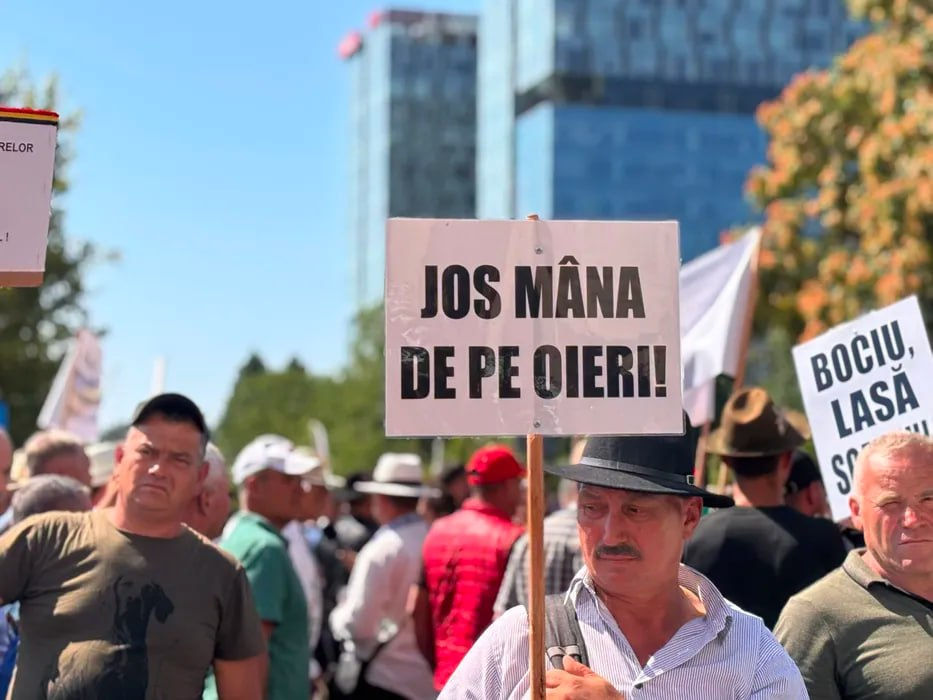В Румынии протесты из-за запрета на экспорт овец и коз переросли в столкновения.