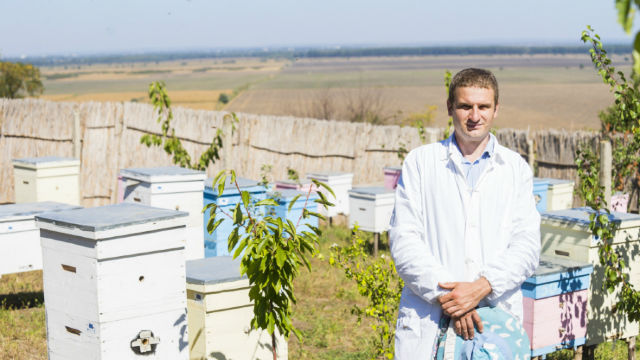 Afacere cu albini, pe bani europeni! Cum a reușit un moldovean să-și adune o avere zumzăitoare (FOTO)