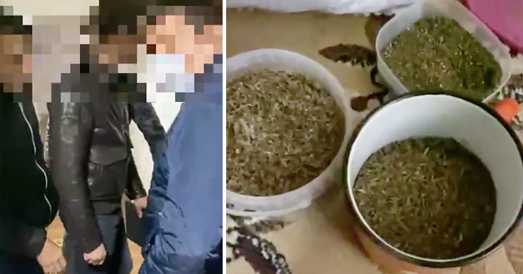 В Дурлештах мужчина устроил наркопритон в своей квартире. Коллаж: Point.md