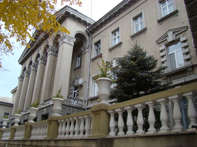 Cei doi poliţişti au fost demişi din cadrul Ministerului de Interne. Foto:kudika.ro
