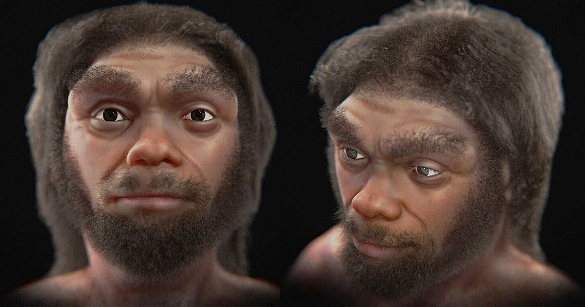 Воссоздано лицо «человека-дракона», который жил более 140 000 лет назад. Коллаж: Point.md
