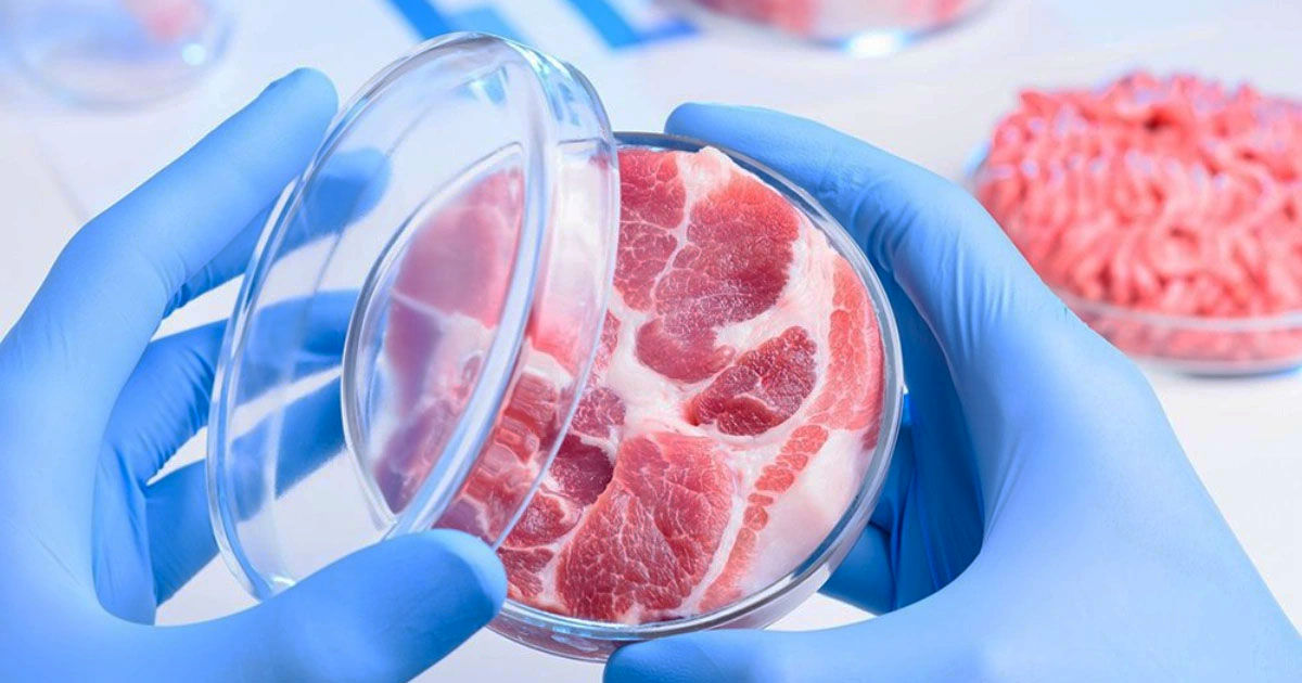 Parlamentul Ungariei a interzis carnea artificială.