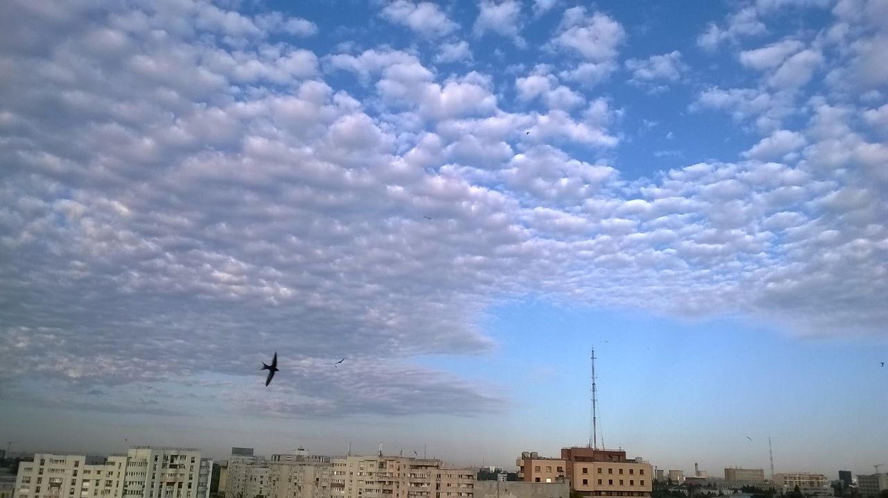 În următoarele zile, vremea va fi caldă.